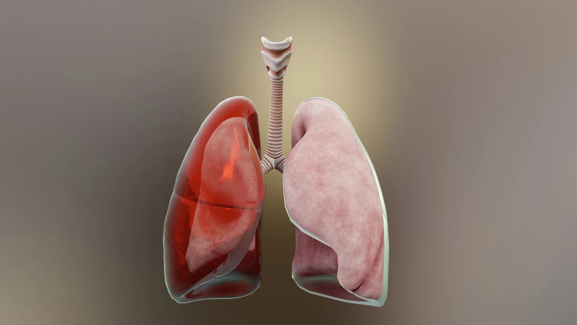 Empyema Treatment in Hyderabad