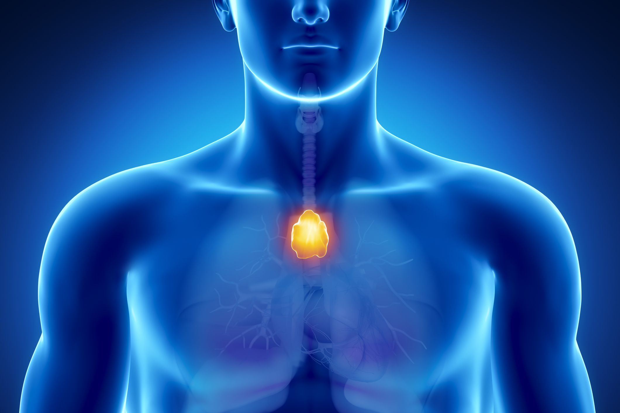 Thymoma and Myasthenia Gravis